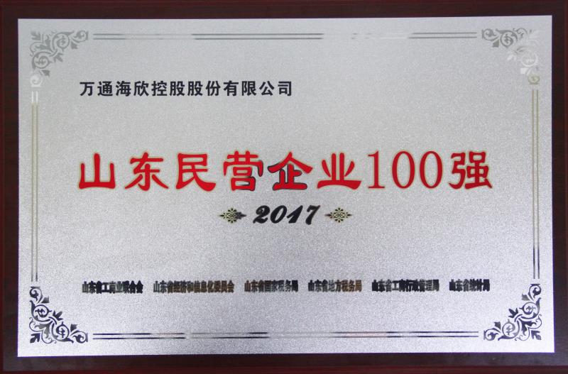 2017山东民营企业100强